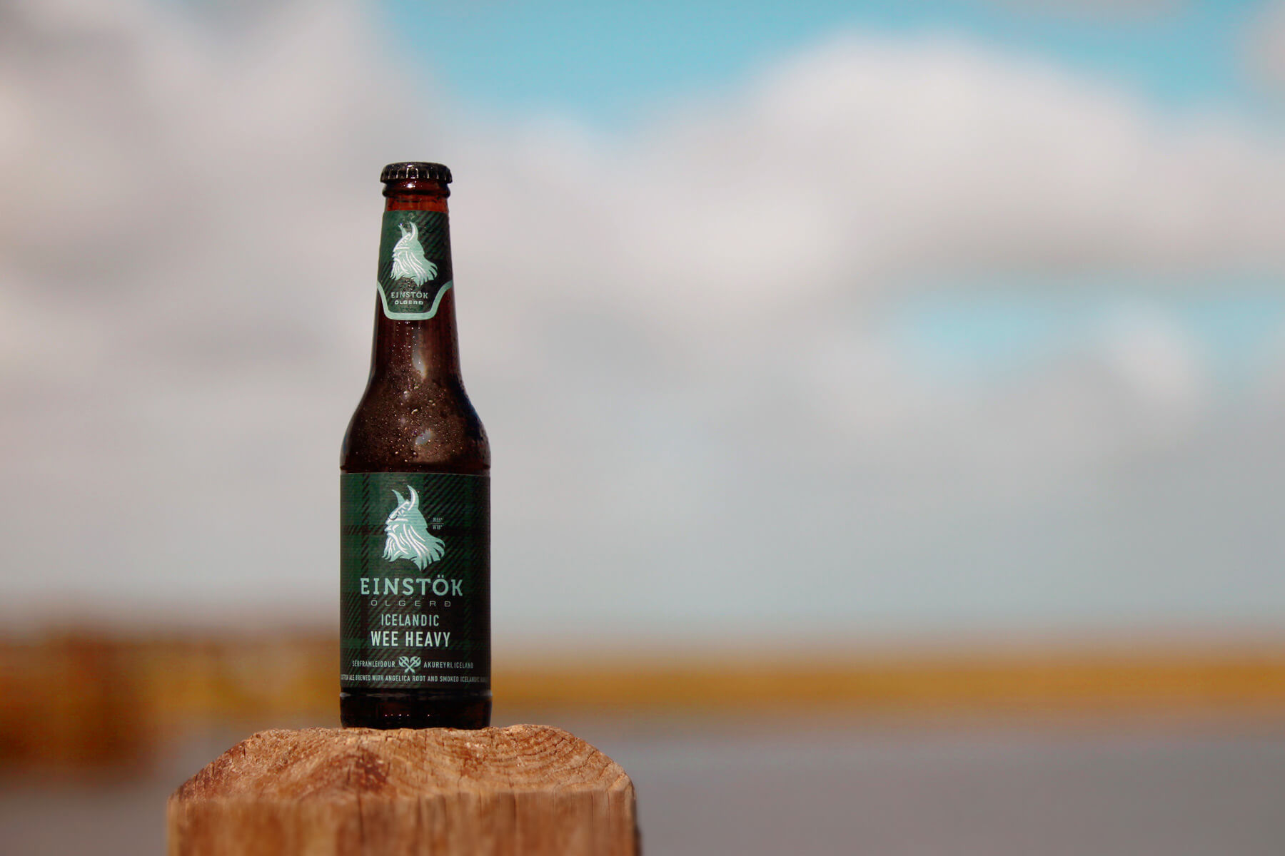 Icelandic Wee Heavy Scotch Ale Einstök Beer