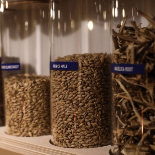 einstok-beer-hops-500x500